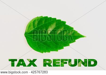 Writing Displaying Text Tax Refund. Concept Meaning Excess Payment Of Paid Taxes Returned To Busines