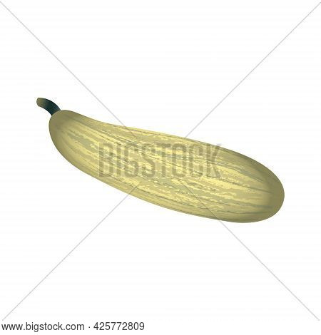Realistic Long Oval Flat Art Squash In Off-white An Light Green Color And A Stem Isolated In A White