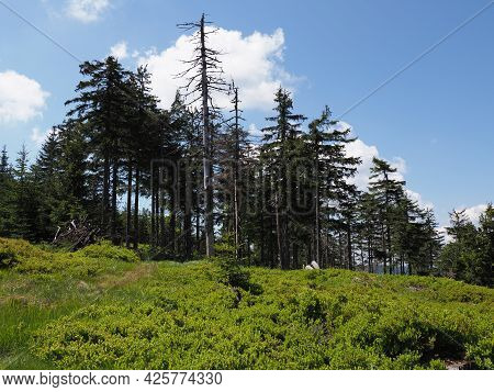 Scenery Of Silesian Beskids Mountains Range Near European Salmopol Pass In Poland, Clear Blue Sky In