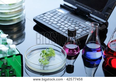 Lab