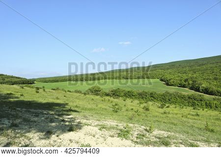 Karalez Valley, Crimea, Russia. Summer Halcyon Mountain Landscape.