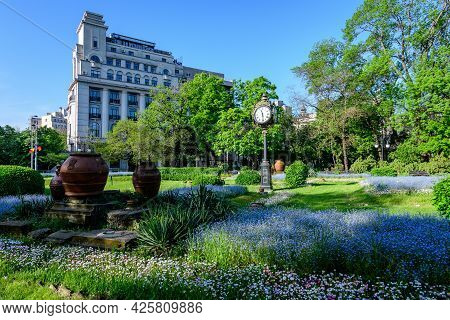 Landscape With Green Trees, Leaves, Vintage Clock And Many Small Blue Forget Me Not Or Scorpion Gras