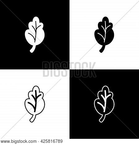 Set Korean Food Kimchi, Cabbage Icon Isolated On Black And White Background. Vector