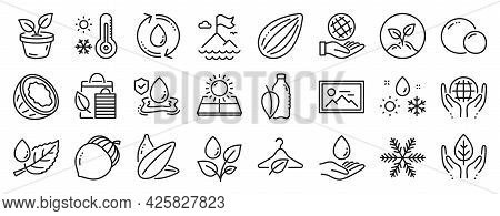 Set Of Nature Icons, Such As Sun Energy, Fair Trade, Refill Water Icons. Almond Nut, Startup, Weathe