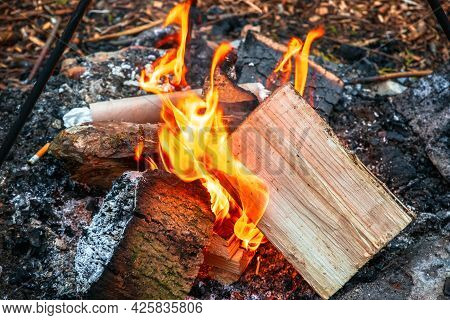 Campfire, Burning Wood At A Tourist Campsite In England