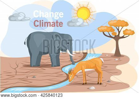 Problem Of Disappearing Water Sources, Drought, Ecological Disaster On Planet Animals Are Thirsty. C