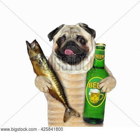 mops fish