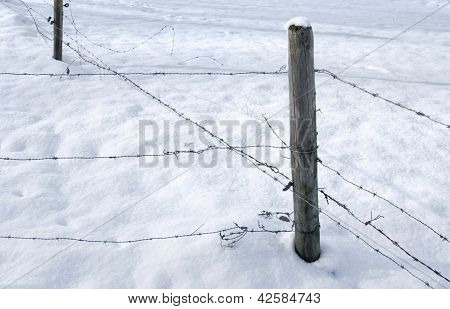 Snowbound Barbed Wire Fence
