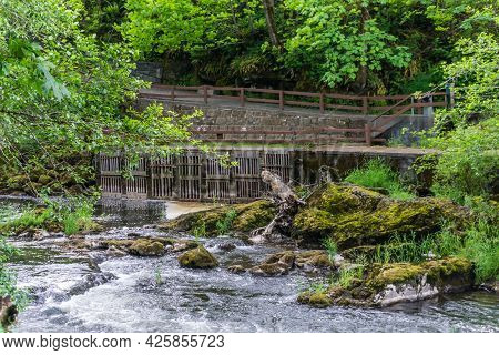 A Trail And Fence At Tumwater Fallls Park In Washington State.