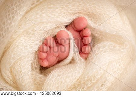 Feet Of A Newborn Close-up In A Woolen Blanket. Pregnancy, Motherhood, Preparation And Expectation O