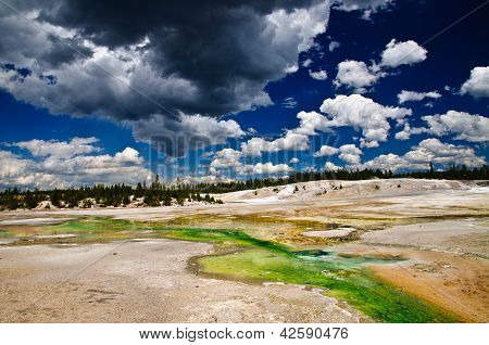 Norris Geyser Basin