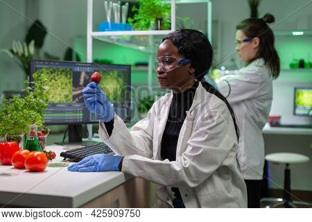 Chemist Scientist Looking At Strawberry With Organic Liquid Examining Dna Test Of Fruits For Botany 