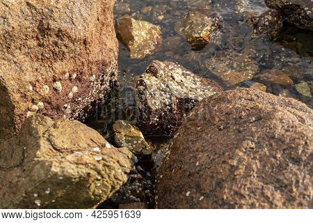 Stones Rock In Sea On Beach Nature Ocean