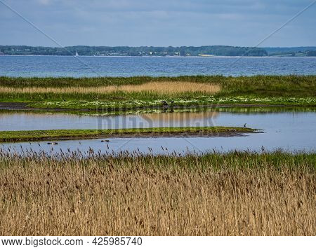 Nature Conservation Area Geltinger Birk At Springtime, Northern Germany, Europe