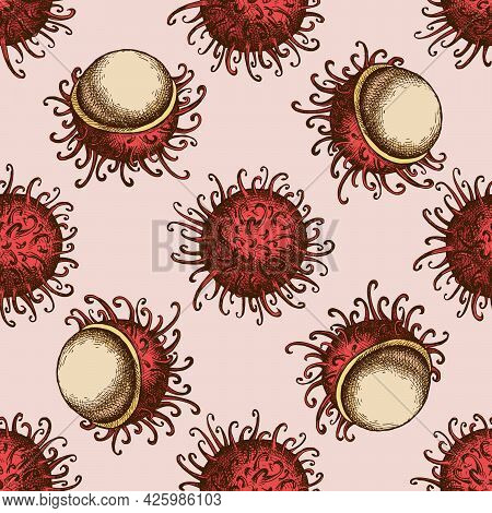 Seamless Pattern With Hand Drawn Colored Rambutan Stock Illustration