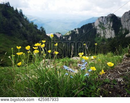 Summer Landscape In The Mountains. Beautiful Day For Hiking