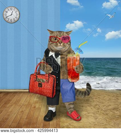 One Half Of A Beige Cat Dressed In A Suit Holds A Briefcase And The Other Half Dressed In Shorts Hol