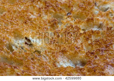 Whole wheat bread