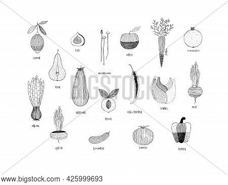 Fruits And Vegetables In Hand Drawn Ornament Style Lemon, Pear, Figs, Mushrooms, Apple, Carrot, Pome