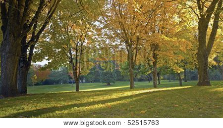 Public Park Panorama Gresham Oregon.