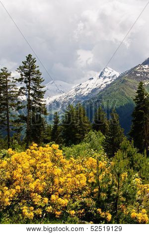 Caucasus Mountains
