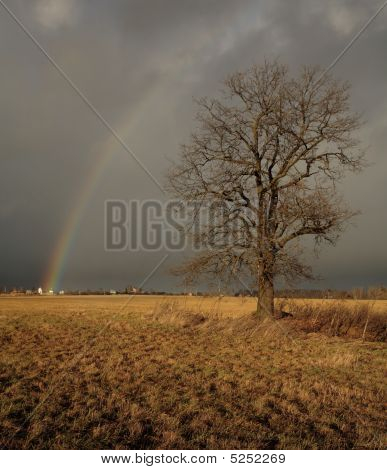 Regenbogen