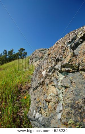 MT Tamaplais Eidechse