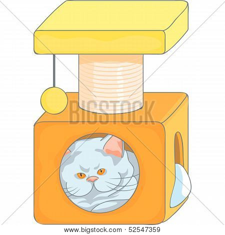 Vector Cute British Cat In The Cat House With Scratching Posts