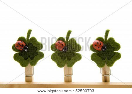 Cloverleaf with wooden beetle