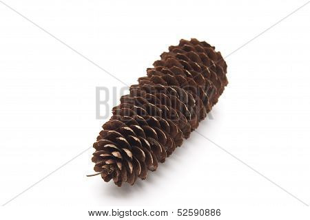 Fir cones