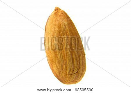 Almond