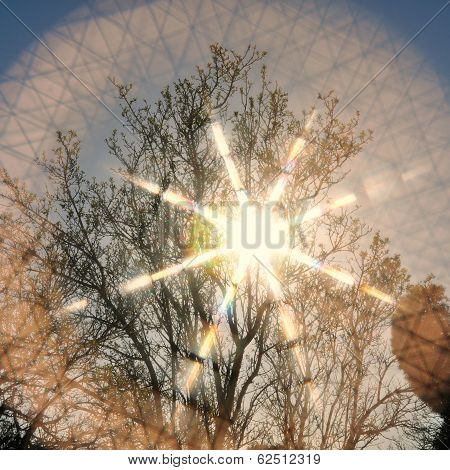 Sun Rays Crosshatch Pattern