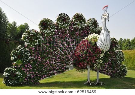 Dubai Miracle Garden in the UAE