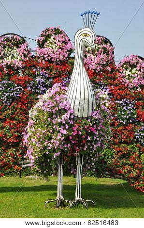 Dubai Miracle Garden in the UAE