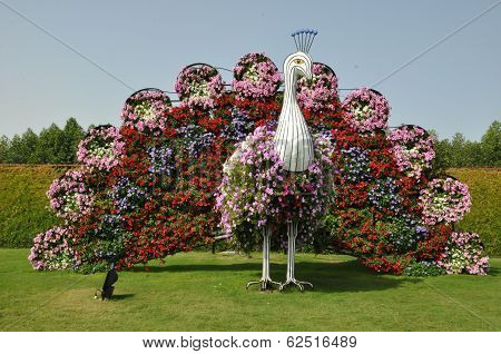Dubai Miracle Garden in the UAE