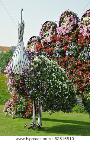 Dubai Miracle Garden in the UAE