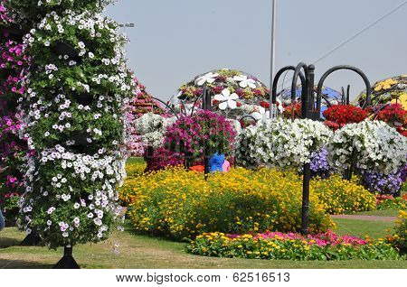 Dubai Miracle Garden in the UAE