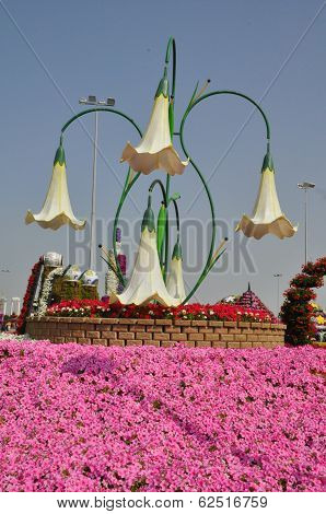 Dubai Miracle Garden in the UAE