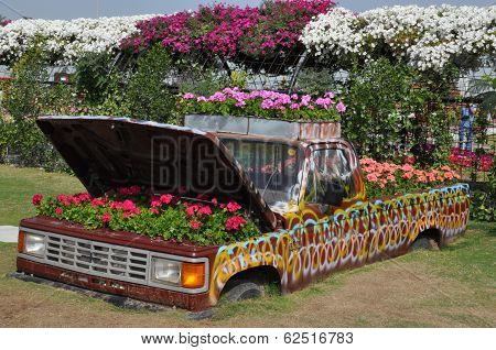 Dubai Miracle Garden in the UAE