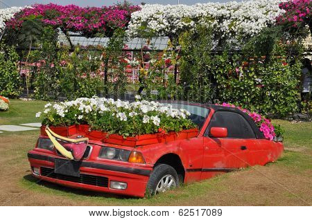 Dubai Miracle Garden in the UAE