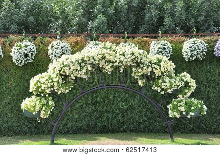 Dubai Miracle Garden in the UAE