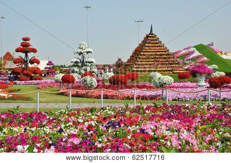 Dubai Miracle Garden in the UAE