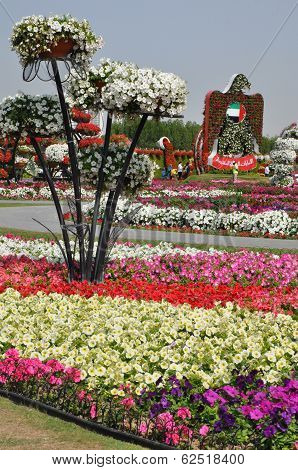 Dubai Miracle Garden in the UAE