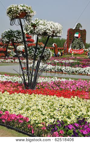 Dubai Miracle Garden in the UAE