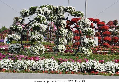 Dubai Miracle Garden in the UAE