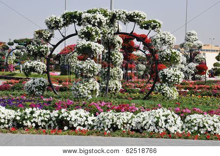 Dubai Miracle Garden in the UAE