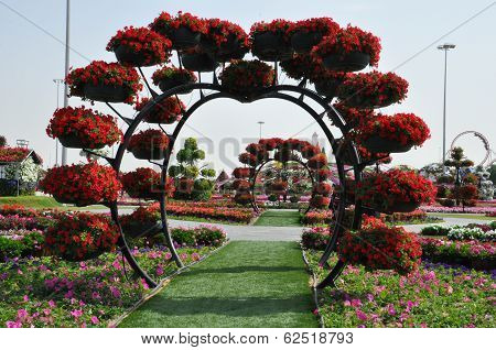 Dubai Miracle Garden in the UAE