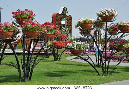 Dubai Miracle Garden in the UAE