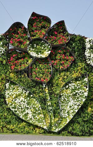Dubai Miracle Garden in the UAE
