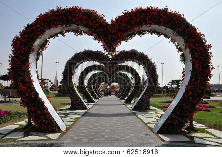 Dubai Miracle Garden in the UAE